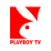 Het tv-programma van PLAYBOY TV vanavond